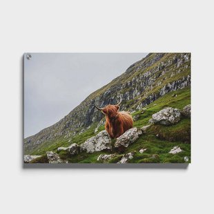 Plexiglas schilderij Bruine Stier | Walljar Plexiglas schilderij Bruine Stier | Walljar