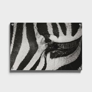 Plexiglas schilderij Zebra Up Close | Walljar Plexiglas schilderij Zebra Up Close | Walljar