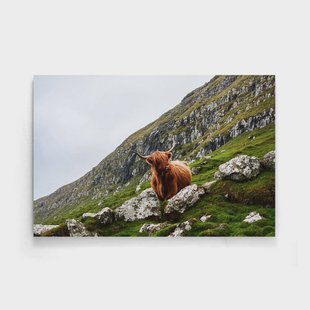 Poster Bruine Stier | Walljar Poster Bruine Stier | Walljar