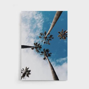 Poster Palm Sky | Walljar Poster Palm Sky | Walljar