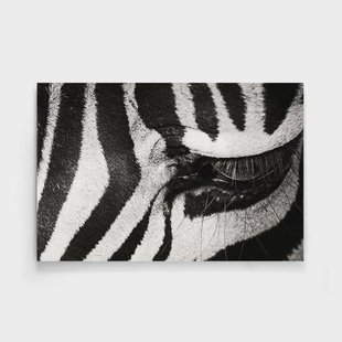 Poster Zebra Up Close | Walljar Poster Zebra Up Close | Walljar