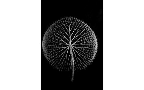 Goossens Schilderij After Midnight, 74 x 74 cm