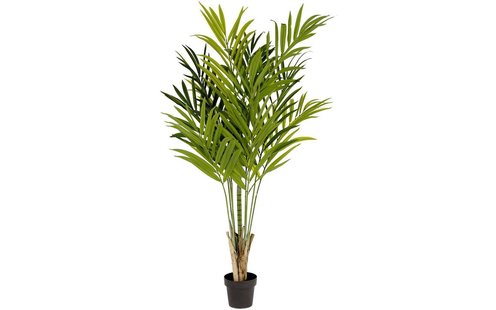 Kave Home Kave Home Woon Accessoires Palmera, Palmera kunstplanten Kave Home Kave Home Woon Accessoires Palmera, Palmera kunstplanten