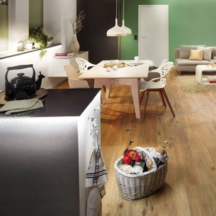 Paulmann MaxLED 500 basisset IP20 warmwit 5m