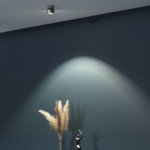 Top Light Puk Mini Move G9 spot, heldere lens, mat nikkel