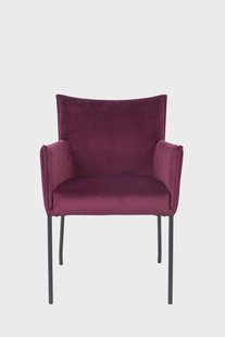 Eetkamerstoel Dion velvet | Feliz Lifestyle Eetkamerstoel Dion velvet | Feliz Lifestyle