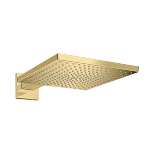 Hoofddouche HansGrohe Raindance E 300 1jet Met Douche-arm Gepolijst Goud