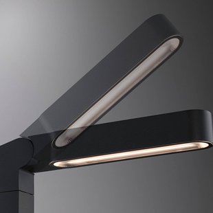 Paulmann Plug & Shine LED tuinpadverlichting, verticaal, IP65