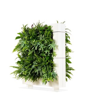 LiveDivider PLUS 2 wit, de groene roomdivider