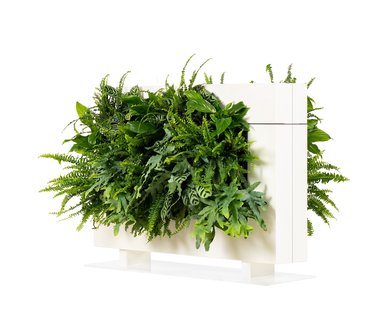 LiveDivider PLUS 1 wit, de groene roomdivider
