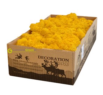 Rendiermos geel 500 gram