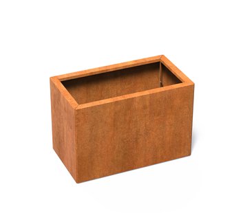 Cortenstaal plantenbak CARREZ Connect 100x50x60cm.