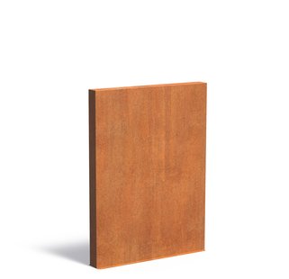 Cortenstaal muur 150x15x200cm.