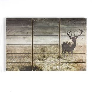 Art for the Home Print op Hout Set van 3 Highland Hert 60x90 cm