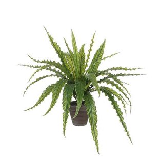Mica Decorations Asplenium Kunstplant in Bloempot H54 cm
