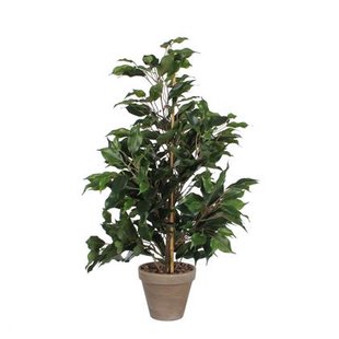 Mica Decorations Ficus Exotica Kunstplant in Bloempot 60 cm Mica Decorations Ficus Exotica Kunstplant in Bloempot 60 cm