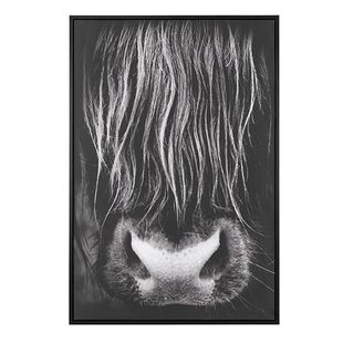 Beliani - GALEATA - Canvas - Zwart - Polyester Beliani - GALEATA - Canvas - Zwart - Polyester