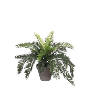 Mica Decorations Cycas Palm Kunstplant - H37 x Ø44 cm - Groen