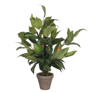 Mica Decorations Hosta Kunstplant - H65 x Ø40 cm - Groen Mica Decorations Hosta Kunstplant - H65 x Ø40 cm - Groen