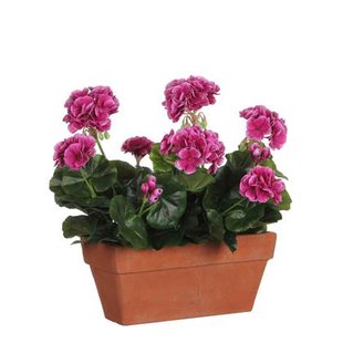 Mica Decorations Geranium Kunstplant - L29 x B13 x H40 cm - Paars