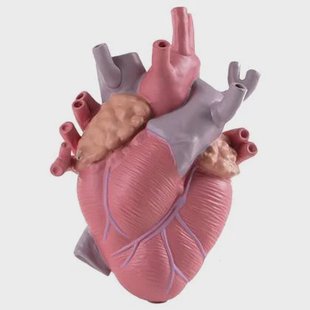 Seletti Love in Bloom hart vaas color