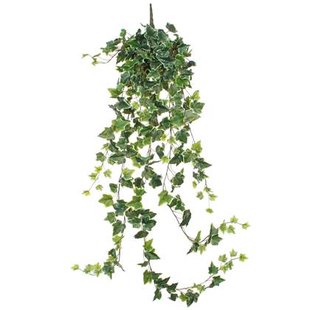 Mica Decorations Hedera Kunstplant Hangend 129 cm Bont Mica Decorations Hedera Kunstplant Hangend 129 cm Bont