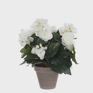 Mica Decorations Begonia Kunstplant - H30 x Ø25 cm - Wit