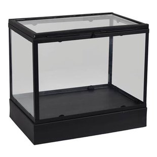 LOFT42 Showy Glazen Display Box Zwart - Metaal - (27x30x20)