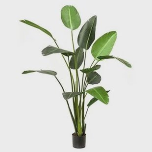 Easyplants Kunstplant Strelitzia 230 Cm