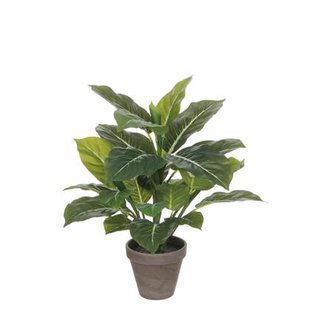 Mica Decorations Evergreen Kunstplant - H49 x Ø40 cm - Groen