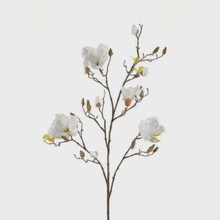 Easyplants Kunst Magnolia Tak Crème 105 Cm