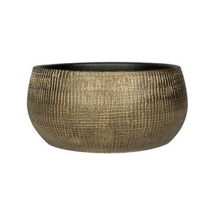Ter Steege Bowl Ryan Shiny Gold 28 cm ronde gouden bloempot voor Ter Steege Bowl Ryan Shiny Gold 28 cm ronde gouden bloempot voor