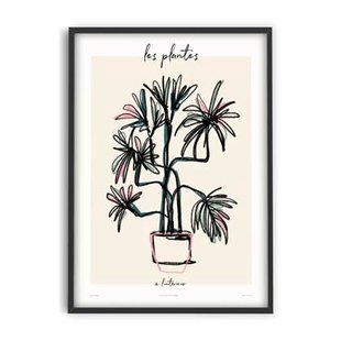 PSTR studio - Zoe - Les Plantes - à l&apos;intérieur