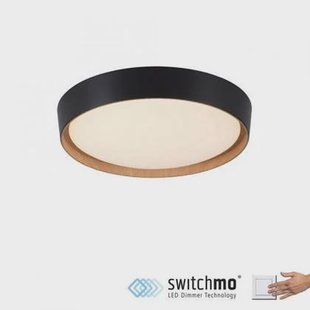 Paul Neuhaus Plafondlamp Milia Zwart Ø 40cm incl. Dimmer