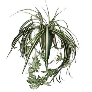 Mica Decorations Chlorophytum Kunstplant 45 cm Mica Decorations Chlorophytum Kunstplant 45 cm