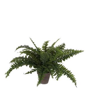 Mica Decorations Boston Varen Kunstplant - H42 x Ø50 cm - Groen