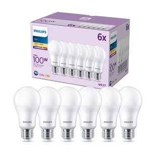 Philips LED lamp E27 13W 1.521lm 2.700K mat per 6