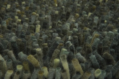 Brink en Campman - Dots 170547 - 140x200 cm Vloerkleed