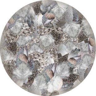 Moooi Carpets - Dodo Pavone - 250 rond Vloerkleed