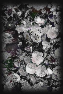 Moooi Carpets - Eden Queen B&W - 200x300 cm Vloerkleed