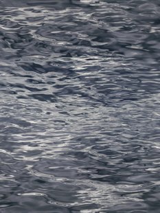 Moooi Carpets - Fluid Water - 200x300 cm Vloerkleed