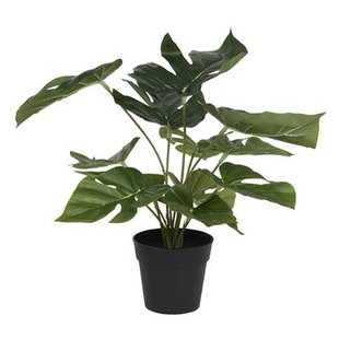 Clayre & Eef Kunstplant 34 cm Groen Kunststof Foam Rond Kunstbloem Clayre & Eef Kunstplant 34 cm Groen Kunststof Foam Rond Kunstbloem