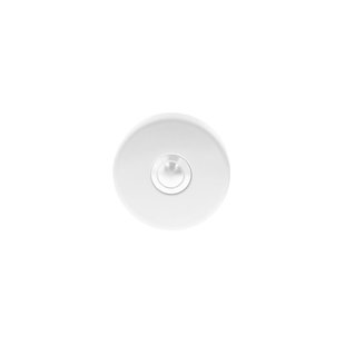 Intersteel Deurbel rond verdekt ø53x10 geborsteld rvs