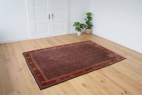 Vloerkleed Bidjar | Casa Caron