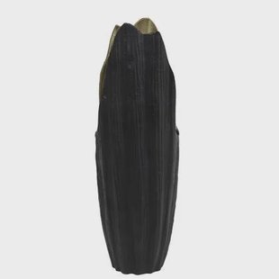 Light & Living Light&living Vaas deco 18x13x51 cm JUBILE mat zwart Light & Living Light&living Vaas deco 18x13x51 cm JUBILE mat zwart