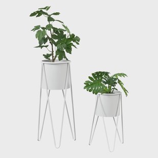 Set van 2 plantenhouders Hedera | PremiumXL