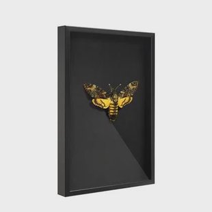 ACAZA Verzamelkader Zwart