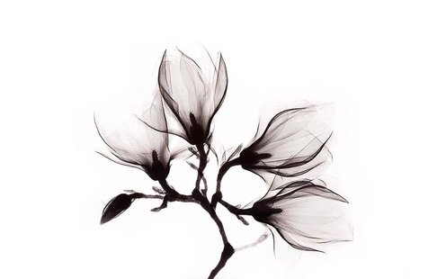 Goossens Schilderij Art Of Nature Flower, 118 x 70 cm