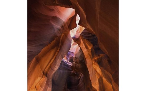 Goossens Schilderij Art Of Nature 1, 74 x 74 cm