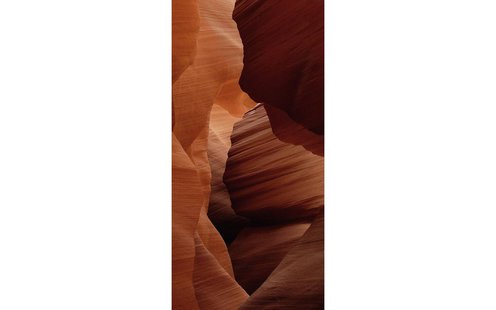 Goossens Schilderij Art Of Nature 2, 48 x 98 cm